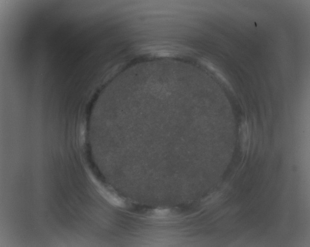 X0000082940406200702081629