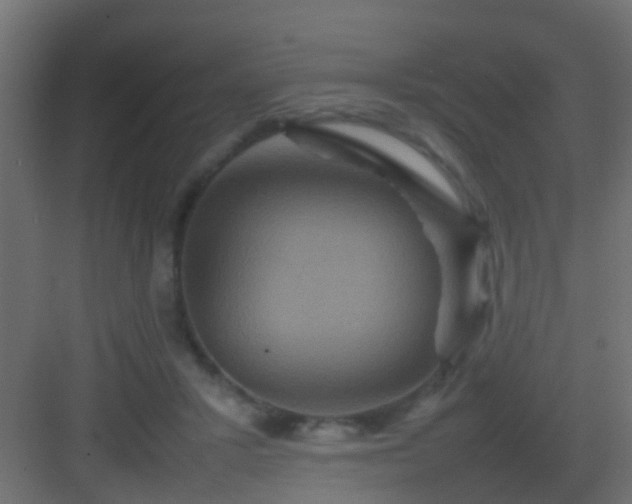 X0000082940407200702081629