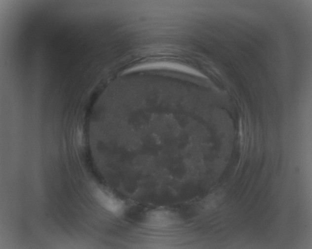 X0000082940408200702081629