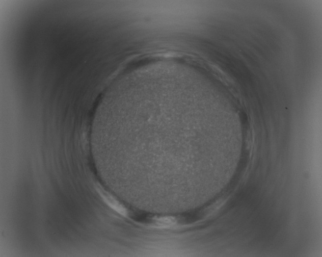 X0000082940409200702081629