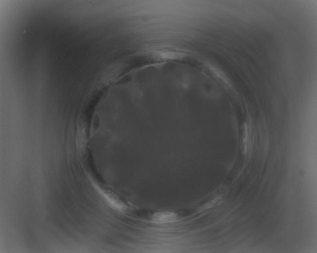 X0000082940410200702081629