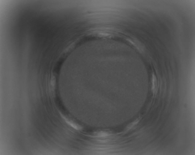 X0000082940412200702081629