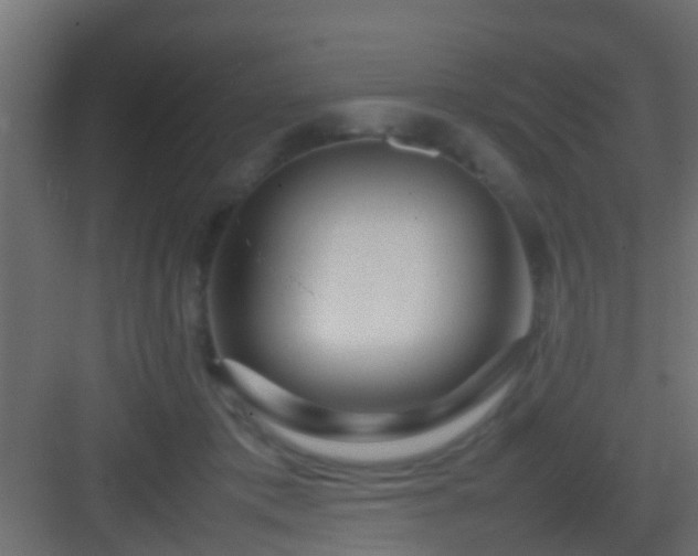 X0000082940413200702081629