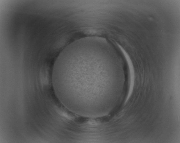 X0000082940416200702081629