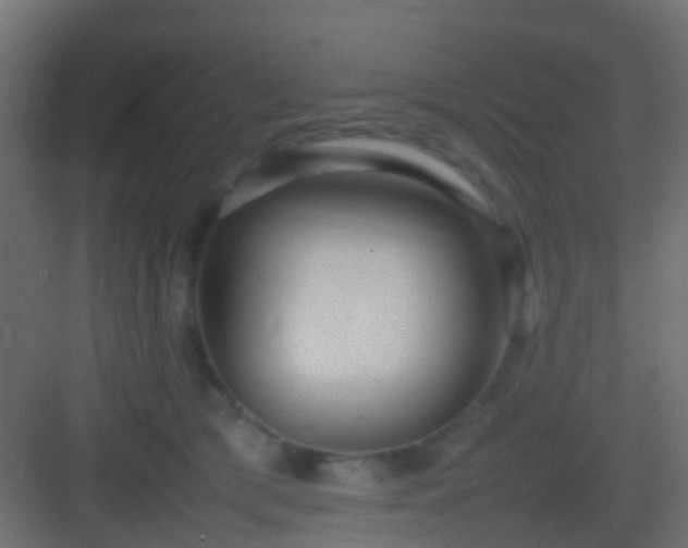 X0000082940417200702081628