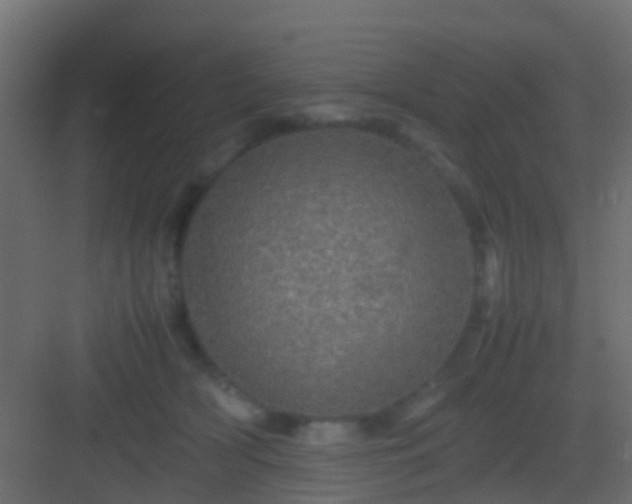 X0000082940418200702081628