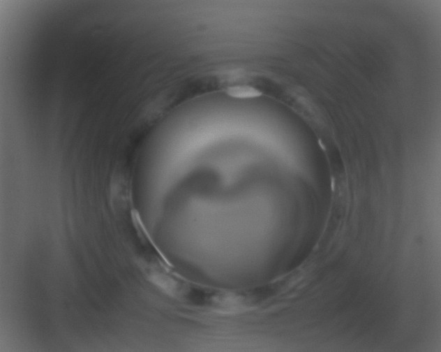 X0000082940419200702081628