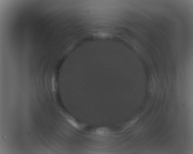 X0000082940420200702081628