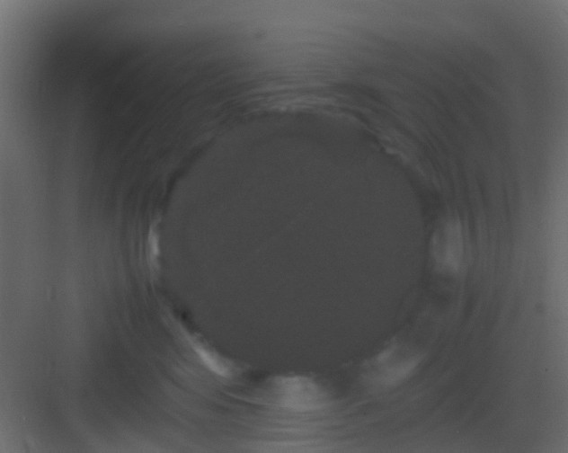 X0000082940424200702081628