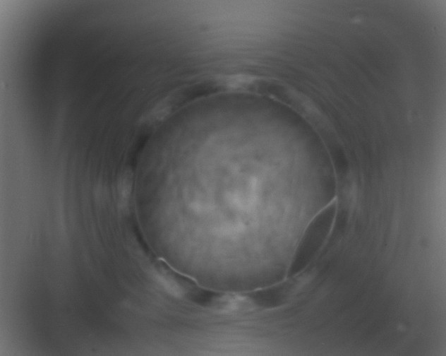 X0000082940427200702081628