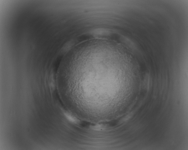 X0000082940430200702081628