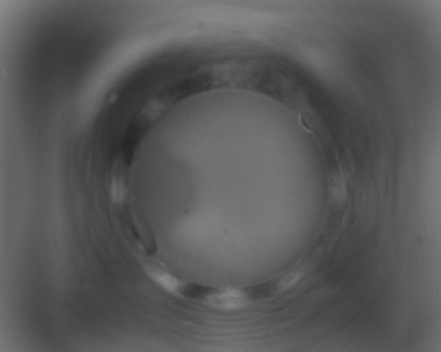 X0000082940431200702081628