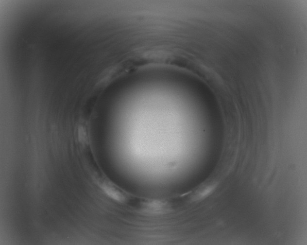 X0000082940432200702081628