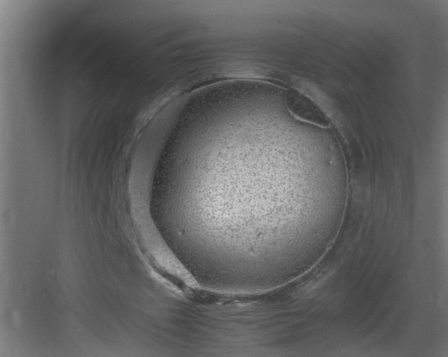 X0000082940433200702081627