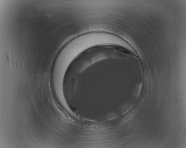 X0000082940434200702081627