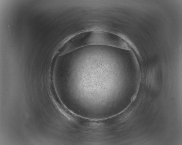 X0000082940437200702081627