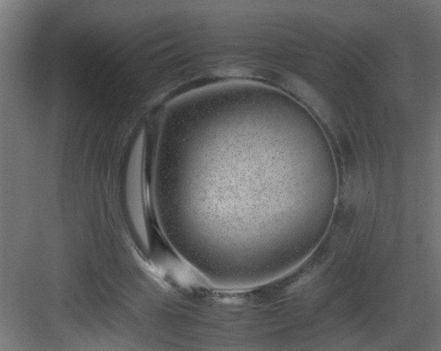 X0000082940441200702081628