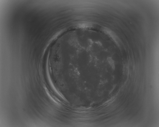 X0000082940443200702081628