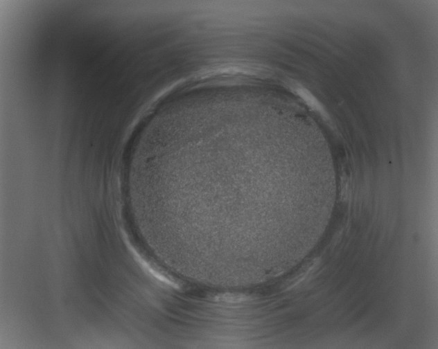 X0000082940444200702081628