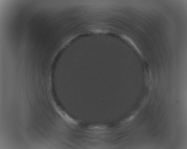 X0000082940447200702081628