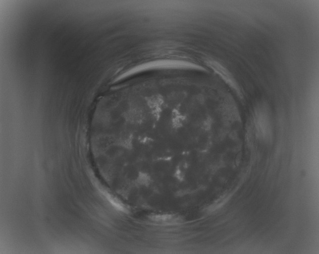 X0000082940449200702081628