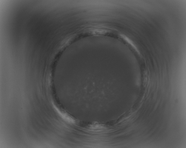 X0000082940451200702081628