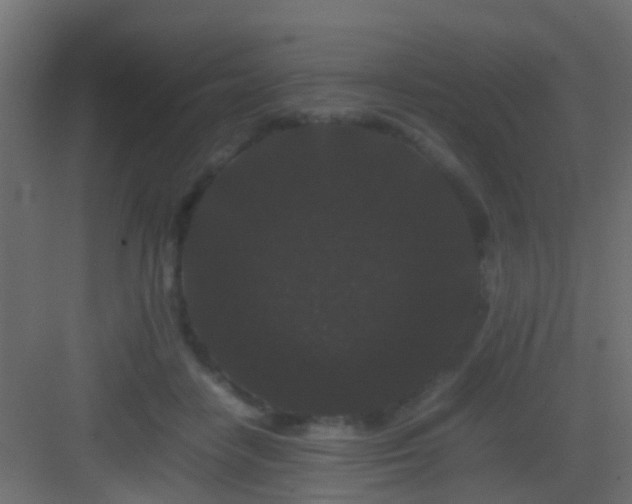 X0000082940458200702081628