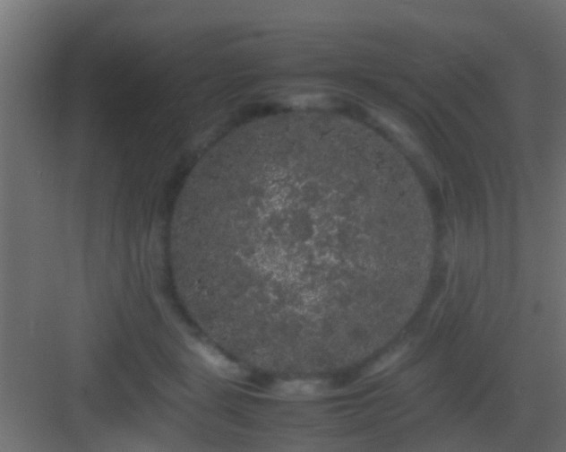 X0000082940461200702081628