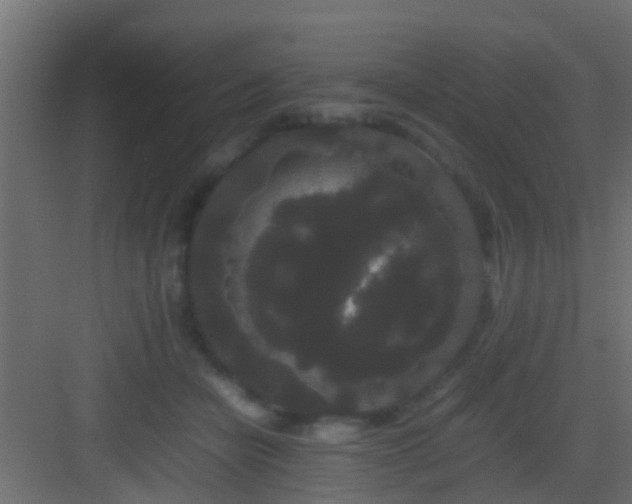 X0000082940462200702081628