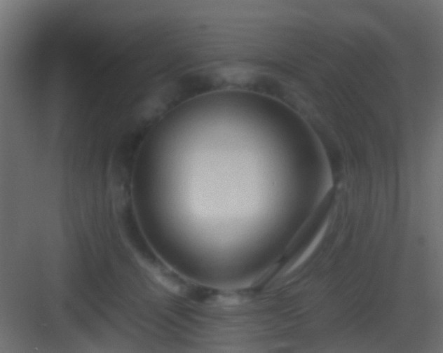 X0000082940464200702081628