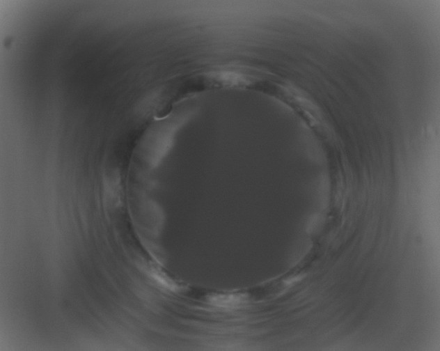 X0000082940465200702081628