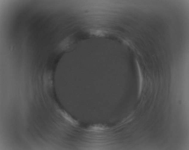 X0000082940466200702081628