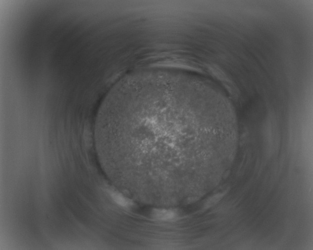 X0000082940469200702081628