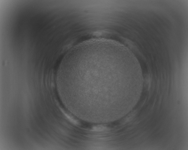 X0000082940470200702081628