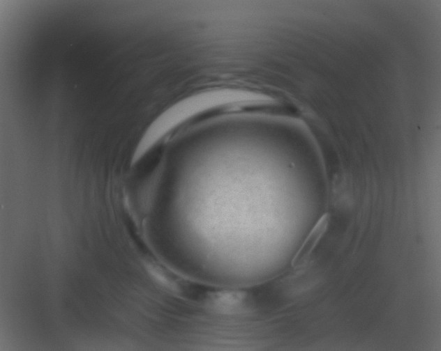 X0000082940474200702081628