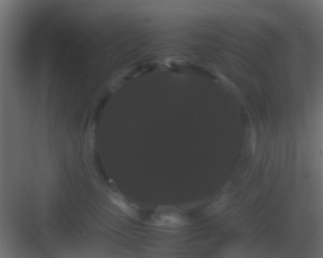 X0000082940475200702081628