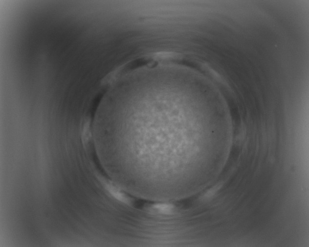 X0000082940478200702081628