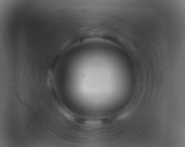 X0000082940480200702081628