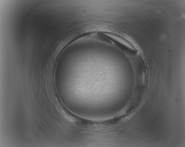 X0000082940481200702081627