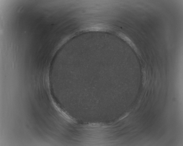 X0000082940482200702081627