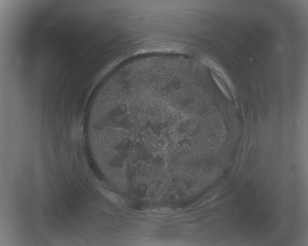 X0000082940483200702081627