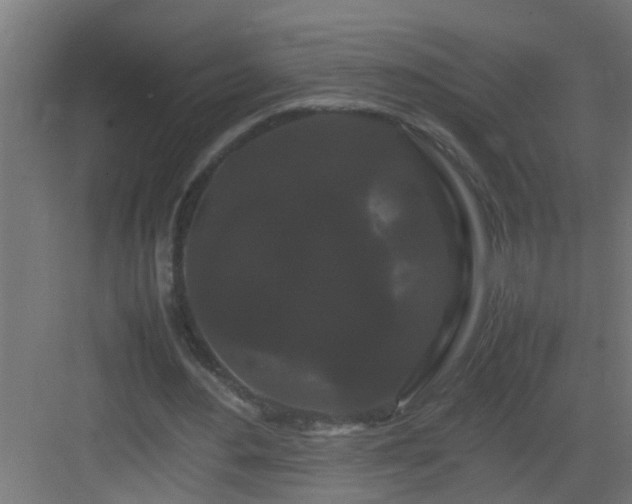 X0000082940484200702081627