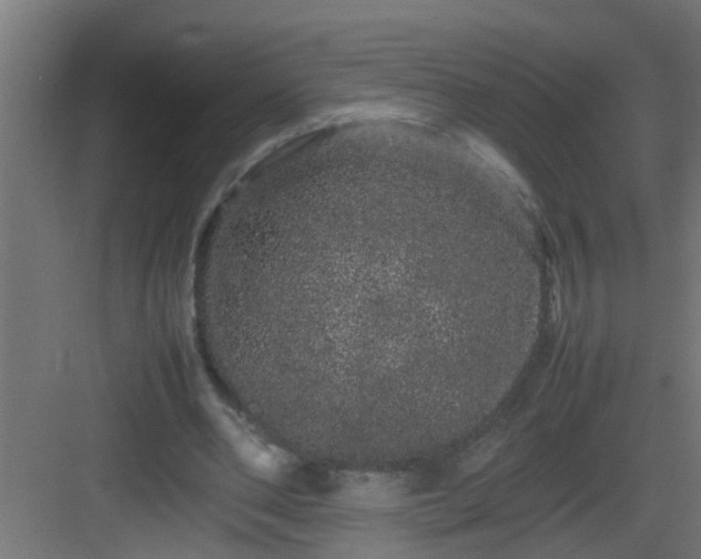 X0000082940486200702081627