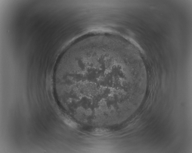 X0000082940487200702081627