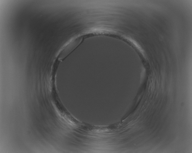 X0000082940488200702081627