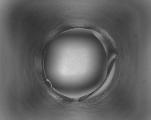 X0000082940489200702081627