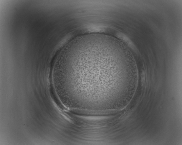 X0000082940490200702081627