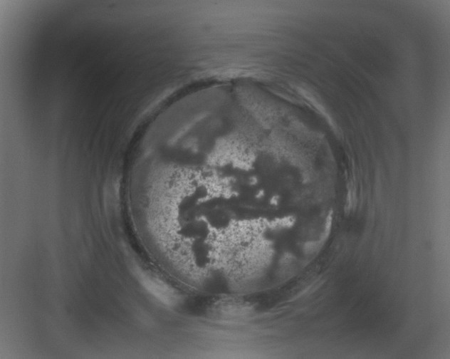 X0000082940491200702081627