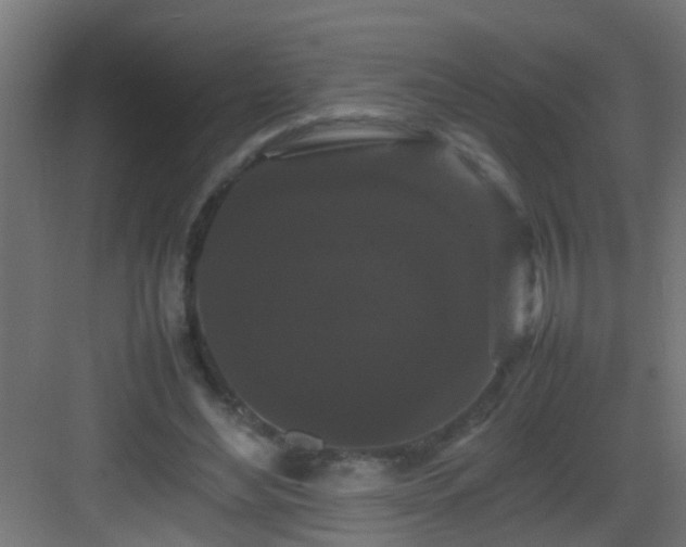 X0000082940492200702081627