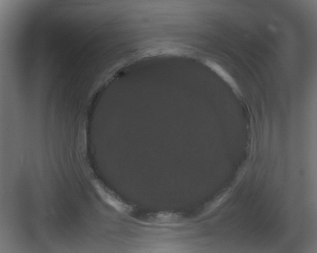 X0000082940493200702081627